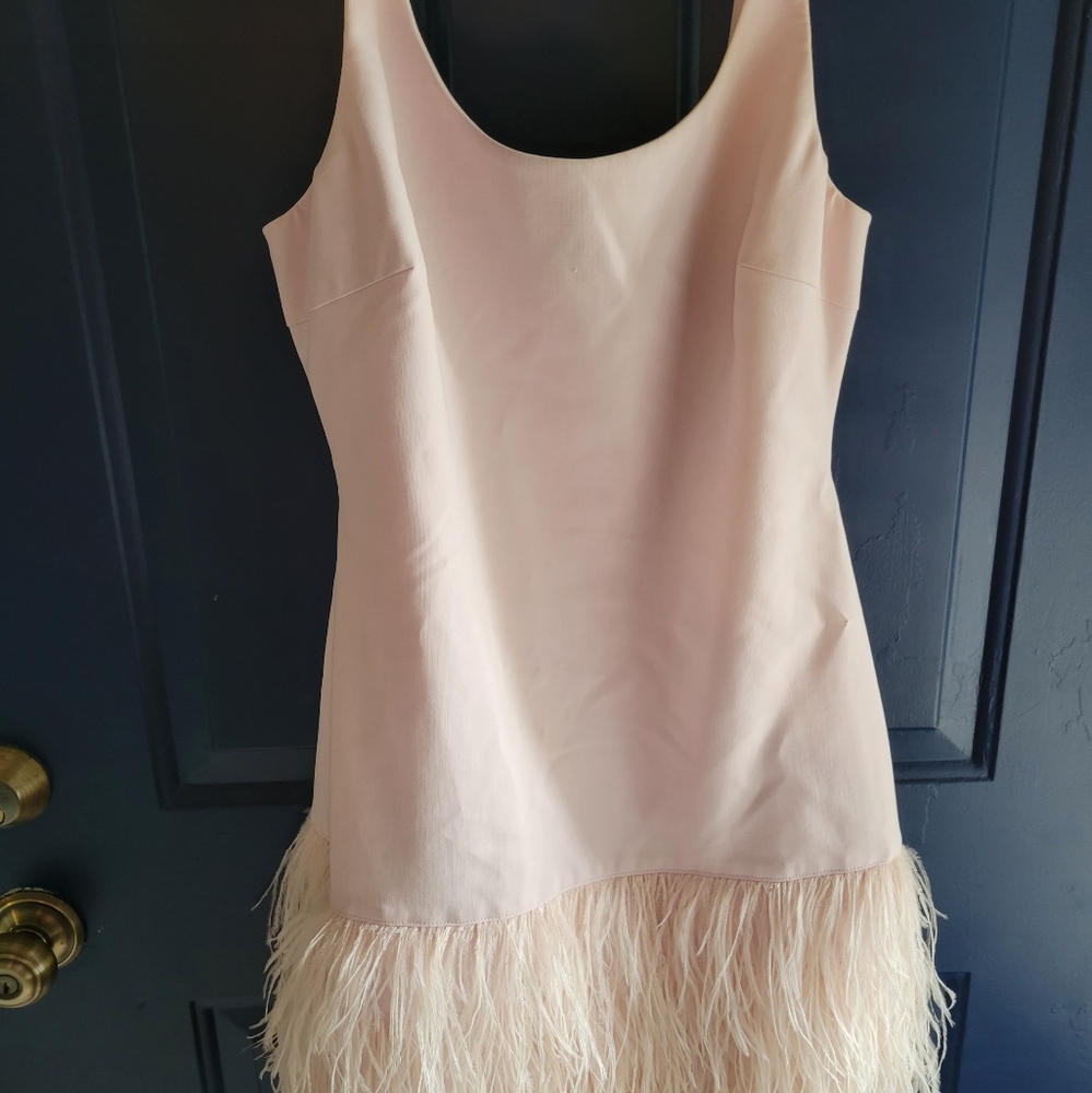 Elizabeth and james feather hem dress.